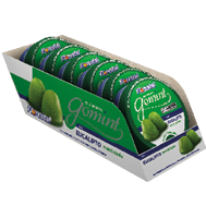 Embalagem do Gomint Eucalipto Mentolado 45 g display 6 × 45 g (270 g) - Florestal