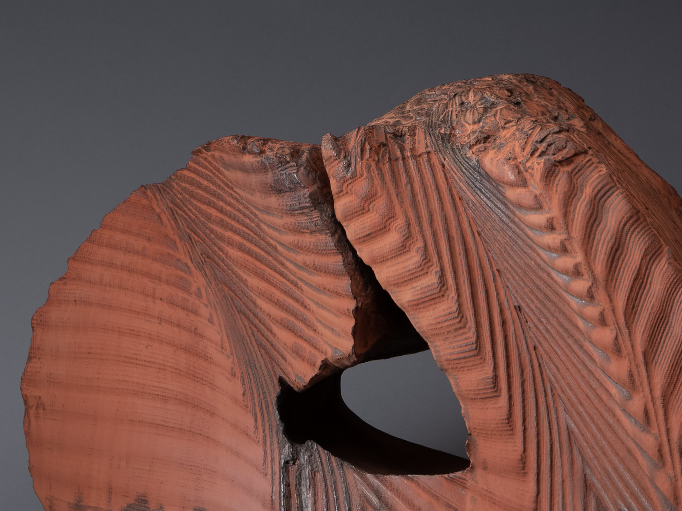 Hayashi Kaku | ETERNAL CURRENTS - Her first solo exhibition