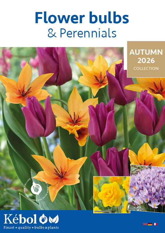 Kebol flower bulbs & Perennials