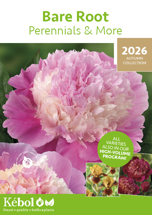 Bare Root Perennials Autumn 2026