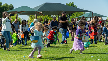 A group of children and adults are playing with eggs and baskets in a field.

AI generated content