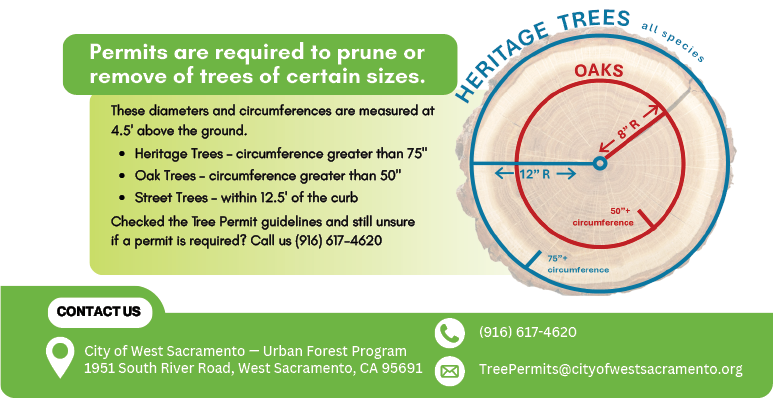A flyer for the city of West Sacramento's urban forest program.

AI generated content