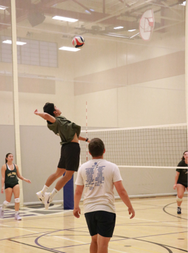 A man is jumping in the air to hit a volleyball.

AI generated content