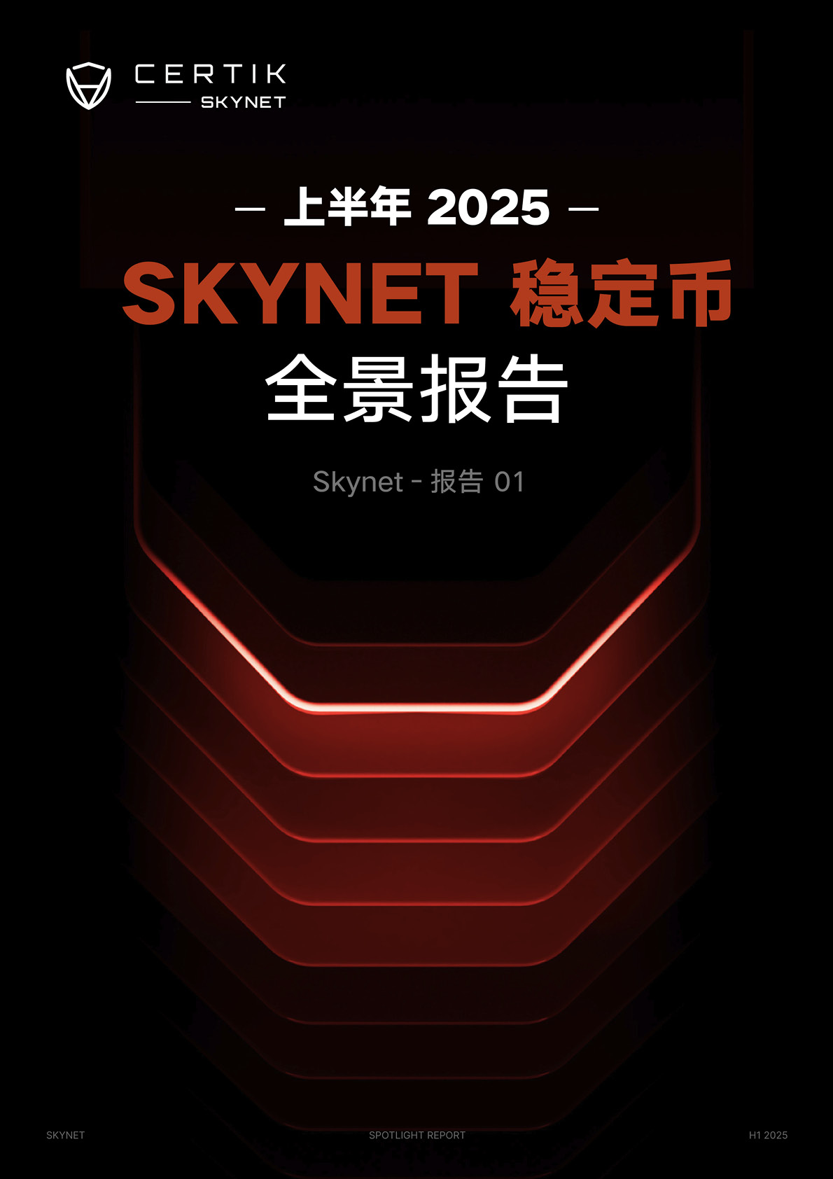 Skynet 2025年上半年稳定币全景报告