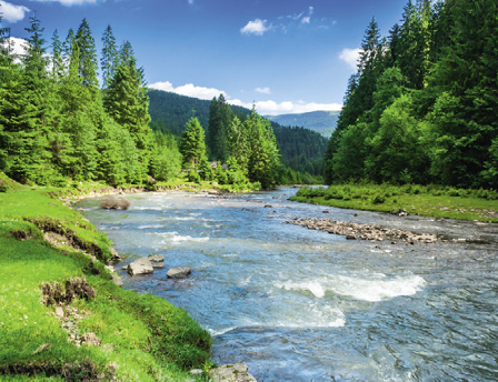 Landscape with mountains, forest and a river in front. beautiful scenery.